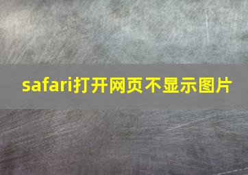 safari打开网页不显示图片