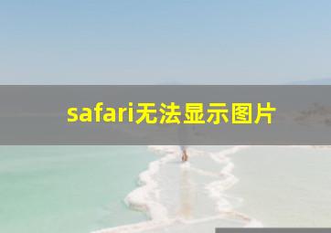 safari无法显示图片