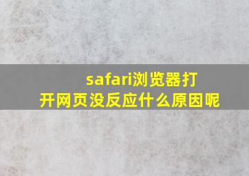 safari浏览器打开网页没反应什么原因呢