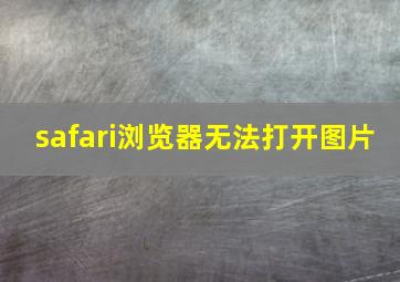 safari浏览器无法打开图片