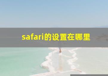 safari的设置在哪里