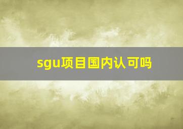 sgu项目国内认可吗