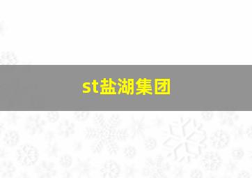 st盐湖集团