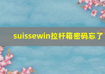 suissewin拉杆箱密码忘了