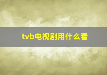 tvb电视剧用什么看