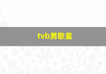 tvb男歌星