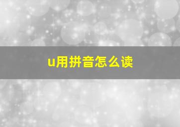 u用拼音怎么读