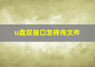 u盘双接口怎样传文件