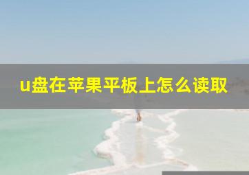 u盘在苹果平板上怎么读取