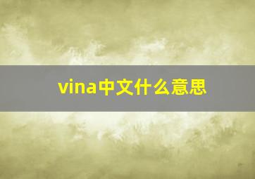 vina中文什么意思