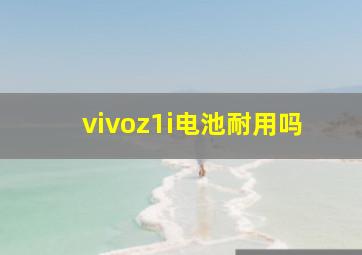 vivoz1i电池耐用吗