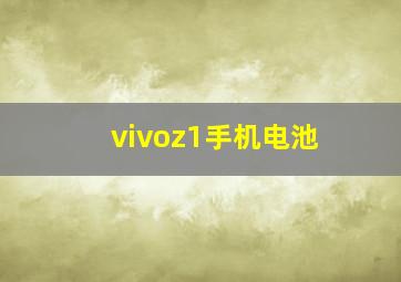 vivoz1手机电池