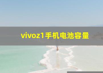 vivoz1手机电池容量