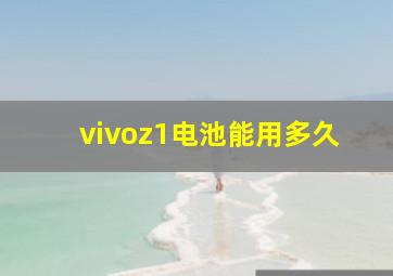 vivoz1电池能用多久