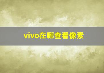 vivo在哪查看像素