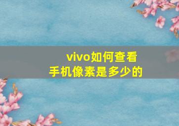 vivo如何查看手机像素是多少的