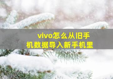 vivo怎么从旧手机数据导入新手机里