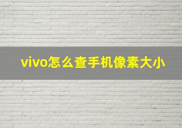 vivo怎么查手机像素大小