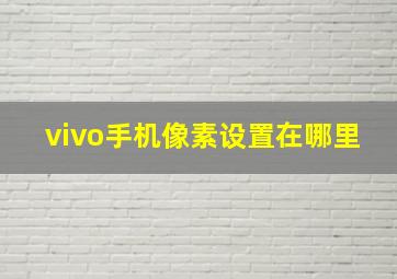 vivo手机像素设置在哪里