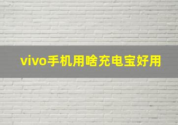 vivo手机用啥充电宝好用