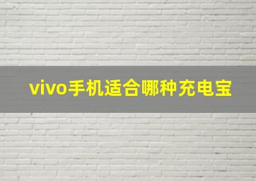 vivo手机适合哪种充电宝