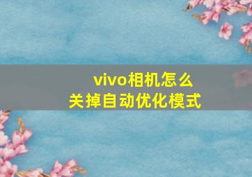 vivo相机怎么关掉自动优化模式