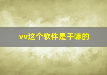 vv这个软件是干嘛的