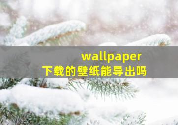 wallpaper下载的壁纸能导出吗