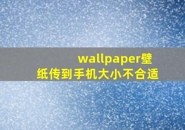 wallpaper壁纸传到手机大小不合适