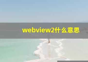 webview2什么意思