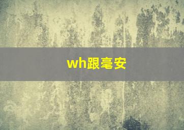 wh跟毫安