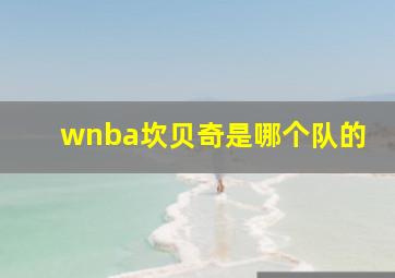 wnba坎贝奇是哪个队的