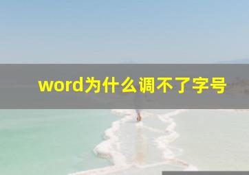 word为什么调不了字号