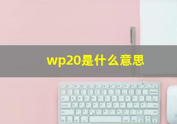 wp20是什么意思