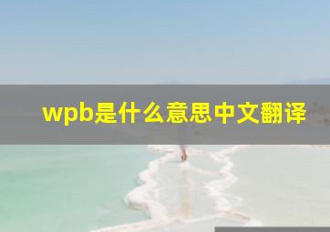 wpb是什么意思中文翻译