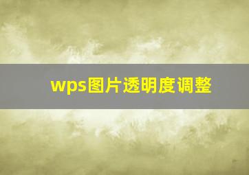 wps图片透明度调整