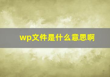 wp文件是什么意思啊