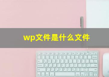 wp文件是什么文件