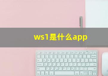 ws1是什么app