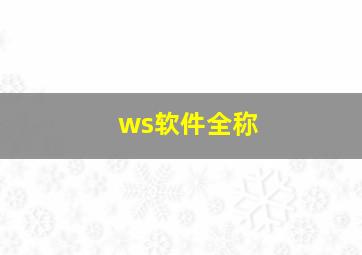 ws软件全称