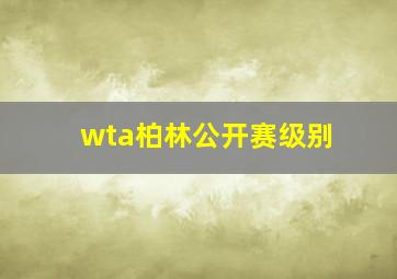 wta柏林公开赛级别