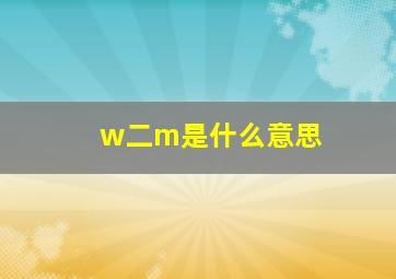 w二m是什么意思