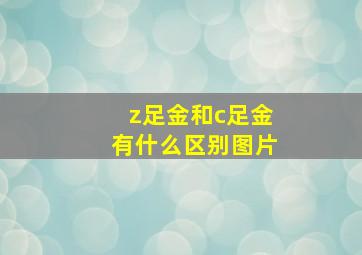 z足金和c足金有什么区别图片