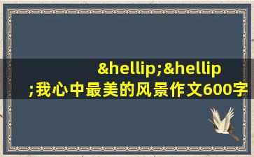 ……我心中最美的风景作文600字