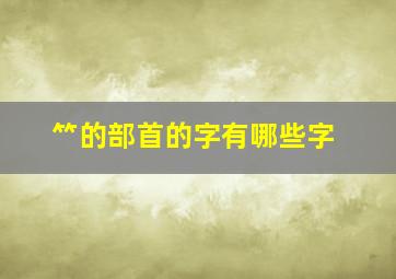 ⺮的部首的字有哪些字