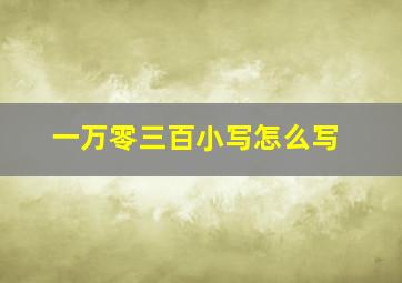 一万零三百小写怎么写