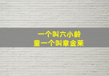 一个叫六小龄童一个叫章金莱