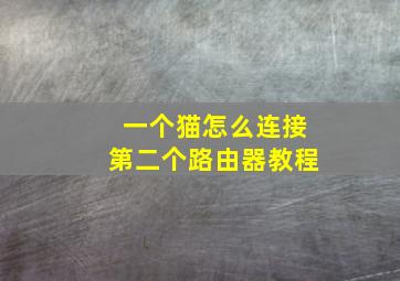 一个猫怎么连接第二个路由器教程