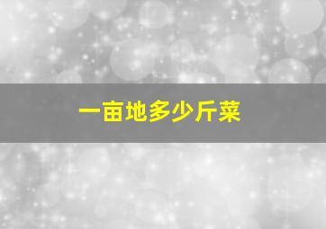 一亩地多少斤菜