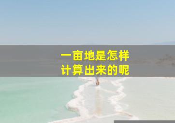 一亩地是怎样计算出来的呢